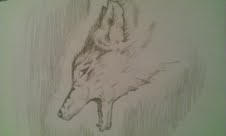 wolf