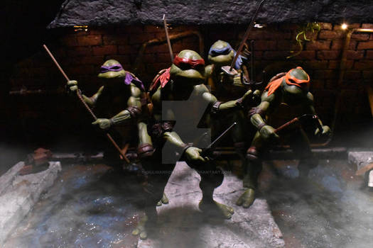 TMNT 1