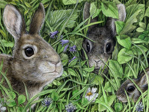 Happy Year of the Rabbit by larkin-art