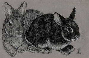 portrait of edward and edie