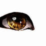 eyes