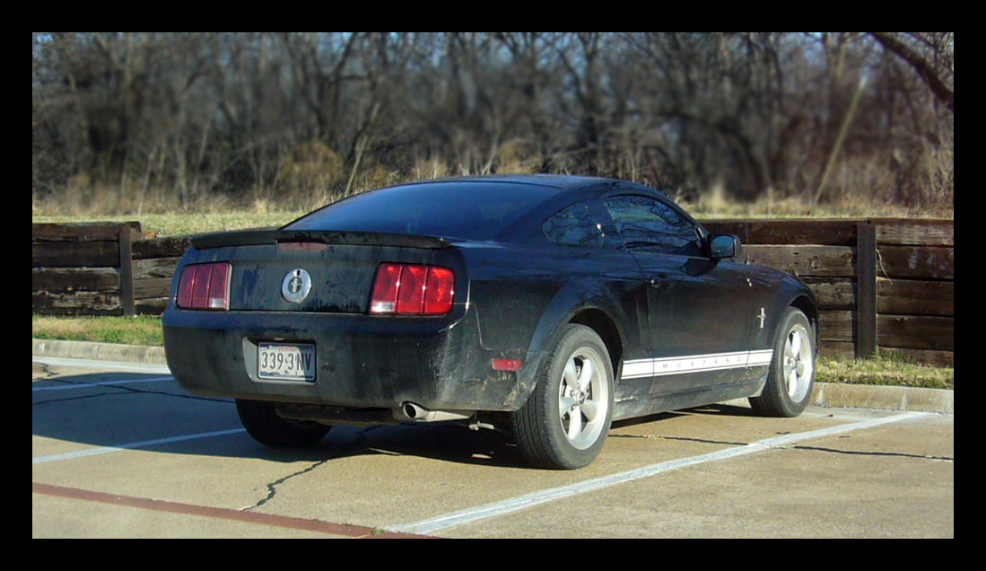 Street Stang 14