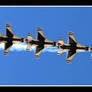 USAF Thunderbirds 2008