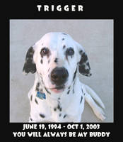 TRIGGER REST IN PEACE