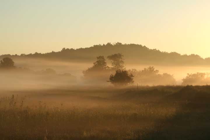 Morning Fog