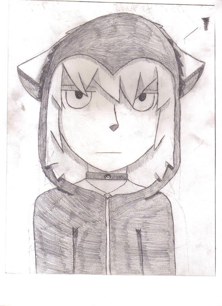 Werewolf Shadow by ShadowWolf973 on DeviantArt