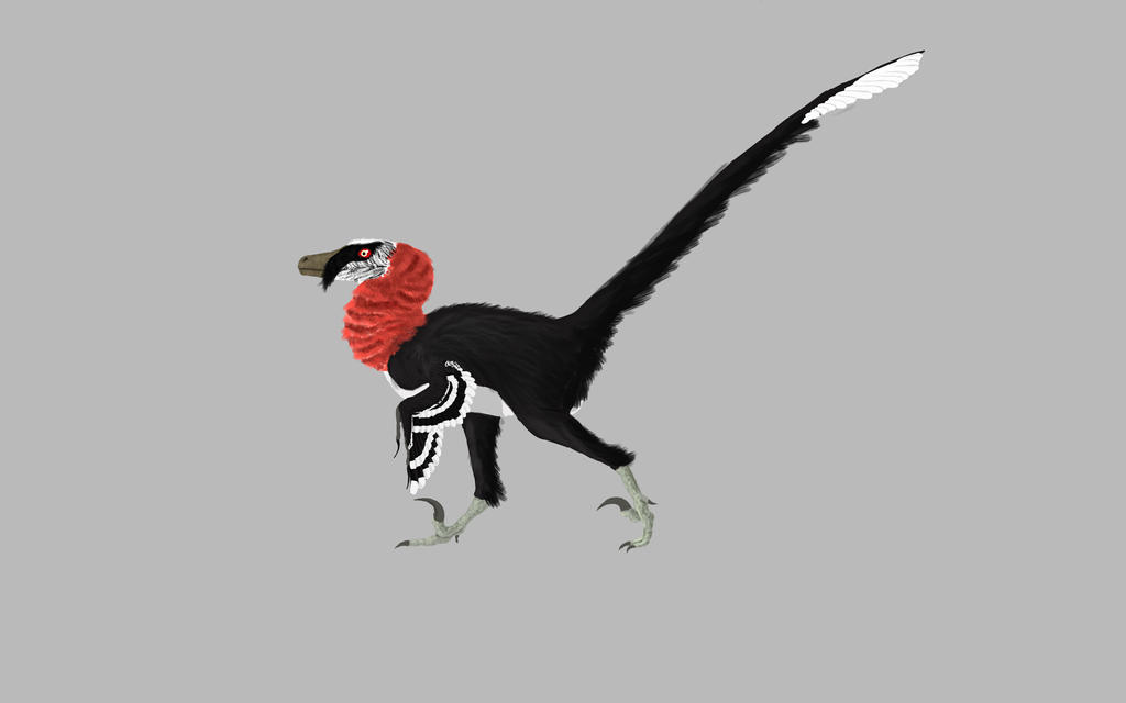 Beda Raptor Bearded Raptor by I-Phillip on DeviantArt