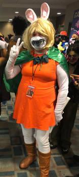 Carrot from One Piece cosplay