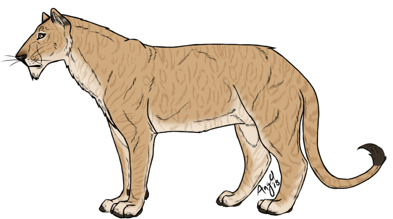 Liger Names Liger by Scarlett-Rosie on DeviantArt