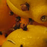 Oranges, Lemons, Cloves III