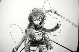 Mikasa