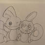 Mudkip and sobble