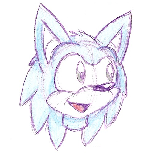 Winter Sky Hedgehog Headshot