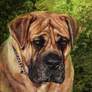 African Boerboel. ArtRage