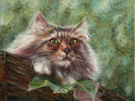 Cat on the roof (oil)