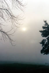 Morning's Fallen Fog