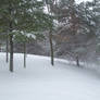 Winter Landscape 4
