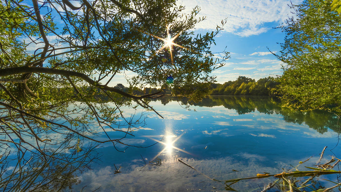 Свежий воздух и вода. Вода это Живая природа. Отражение неба в воде. Солнечная погода озеро. Озеро отражение солнечного диска.