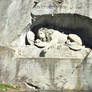 Lion of Lucerne II