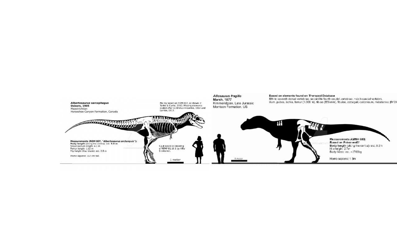 Albertosaurus vs Allosaurus by ObjectFizzCola on DeviantArt