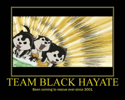 Team Black Hayate