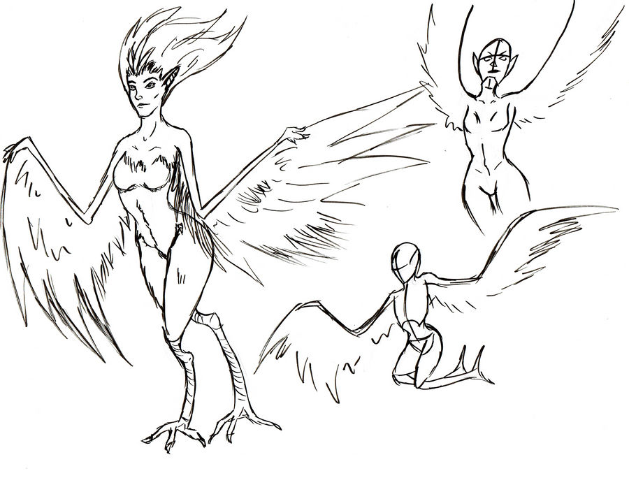 Harpy sketches