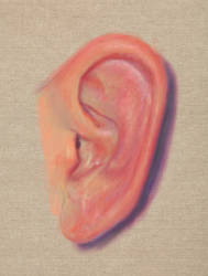 Ear Study