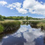 creek behind the dunes...