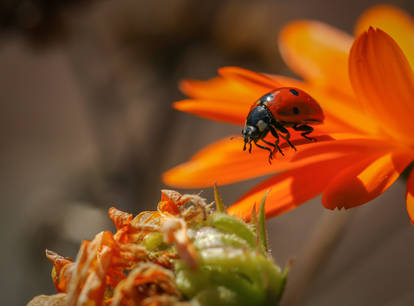 Summer feelings in autumn...