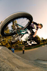 Tailwhip