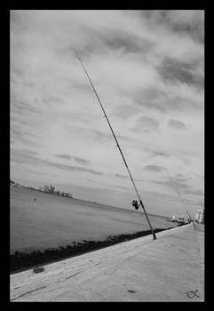 Dia de Pesca