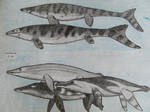 Mosasaurs and pliosaurs