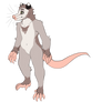 possum sona