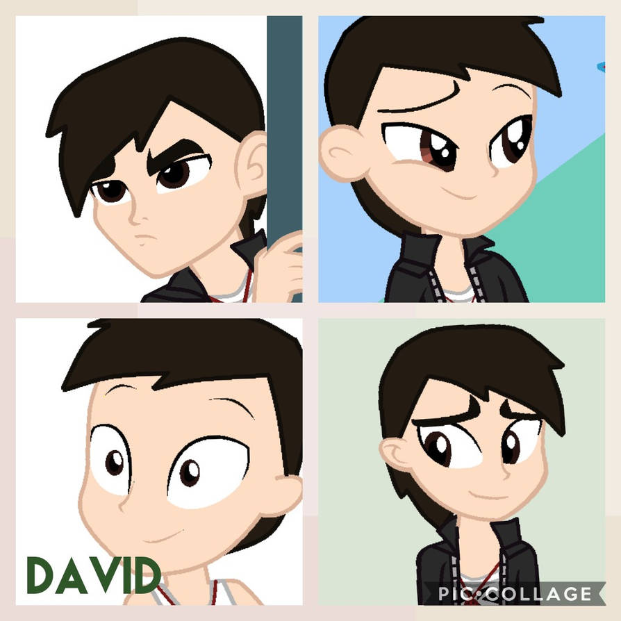 David 560 Deviantart David Collage by XxDavid5000xX on DeviantArt