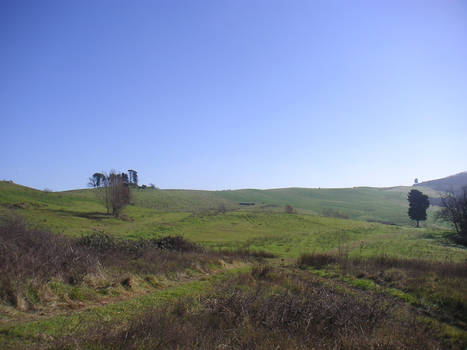 Caccia in Toscana