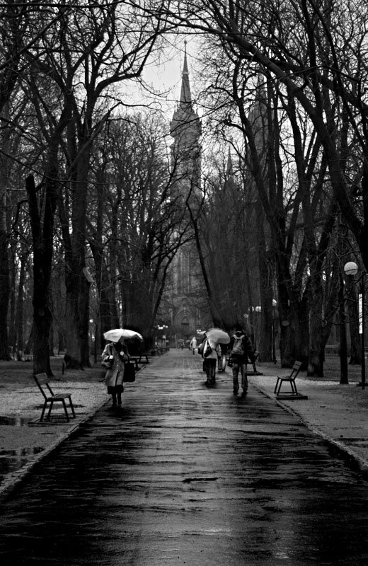 rain in the kosciuszki park