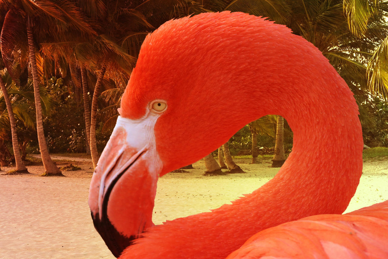 Pinkachu by CrumblingLand on DeviantArt