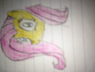 The drawing of fluttershy's head