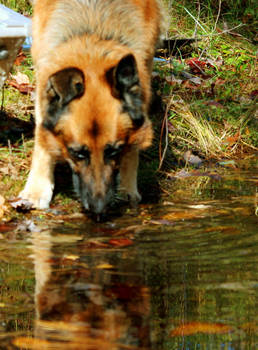 Biggs Reflecting