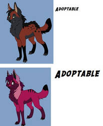 Two more adoptables