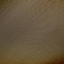 W. Craven Texture Stock