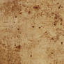 C. Guest Texture Stock