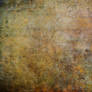 1SammyFan Texture Stock