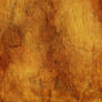 Mr. Gold Texture Stock