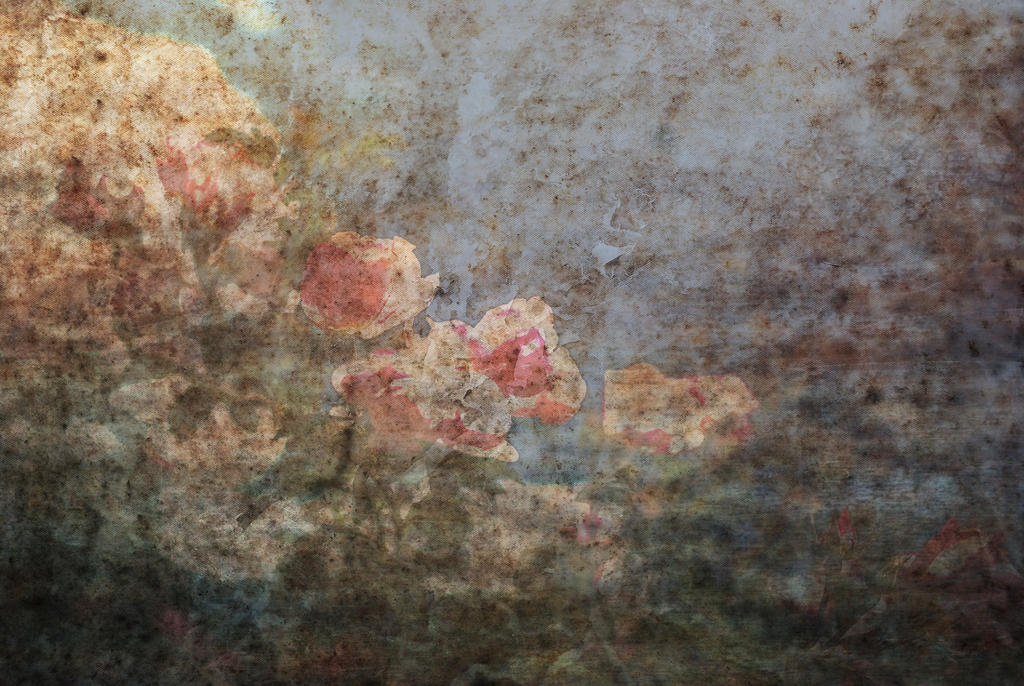 T. Thyne Texture Stock