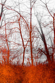 Riverbank Texture Stock