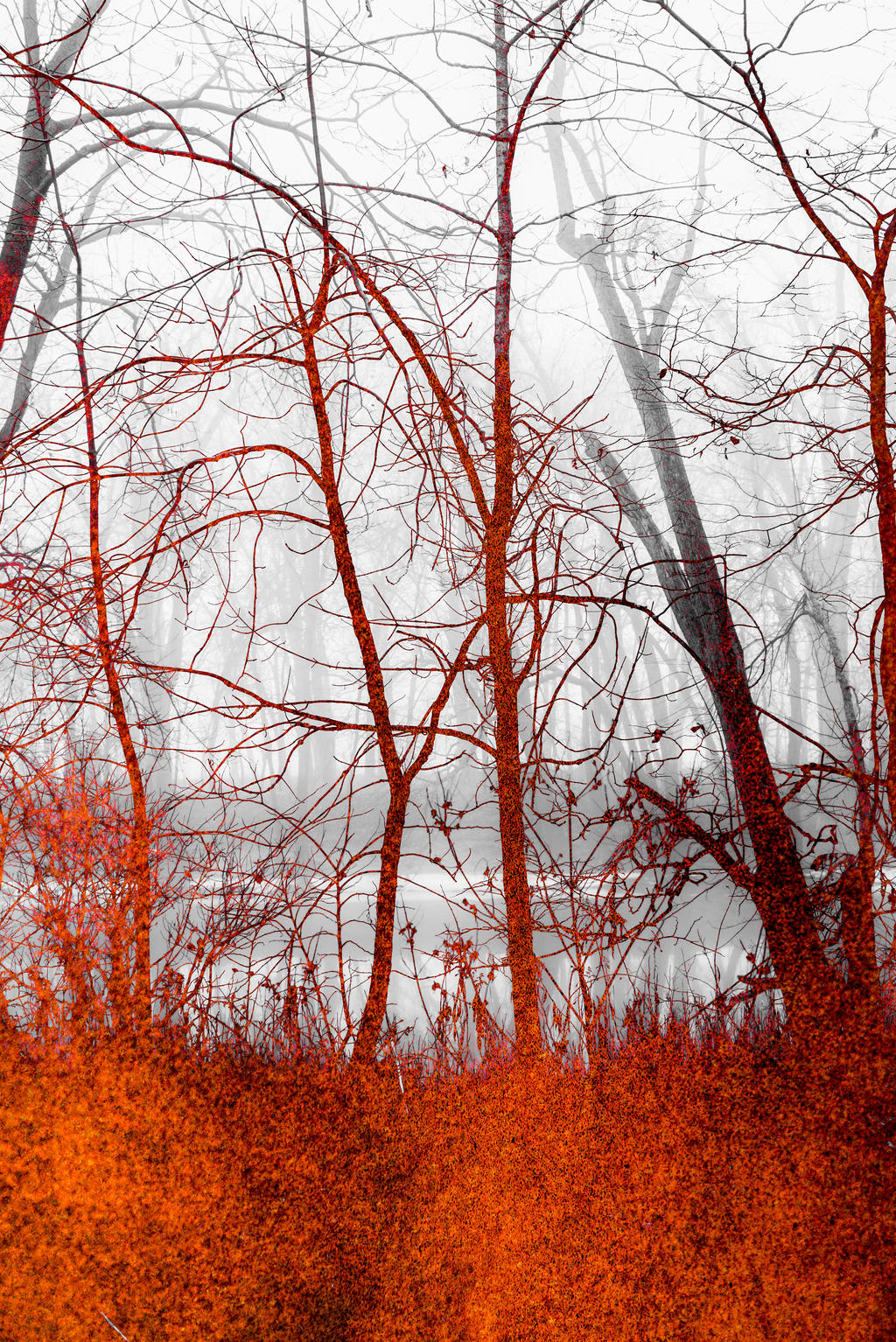 Riverbank Texture Stock