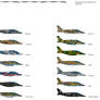 Dassault Dornier Alpha Jet Operators