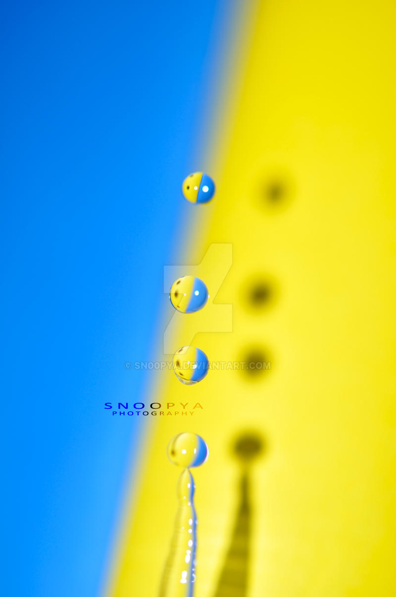 Yellow,Blue