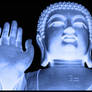 Blue Buddha 3